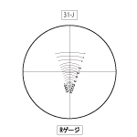 31-J