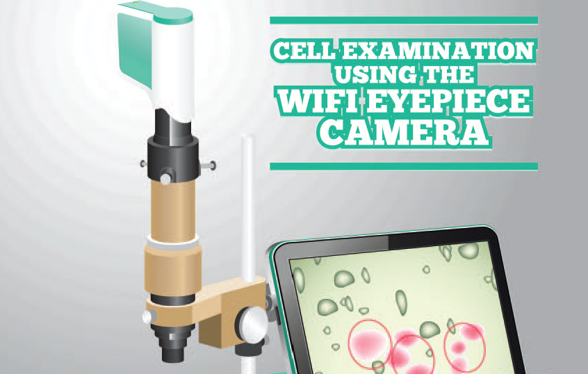 Cell examination using the WiFi eyepiece camera